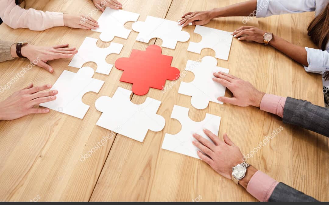 Le cube d’entreprise : une structure vivante pour une gestion équilibrée